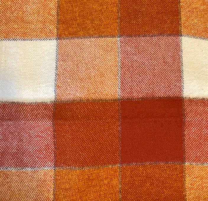 Pumpkin Spice Plaid Flannel Collar Walk Set